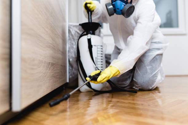 Best Pest Prevention Services  in Fairland, MD