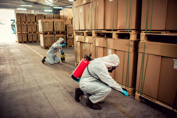 Best Flea Control Services  in Fairland, MD