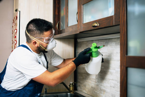 Best Pest Control for Businesses  in Fairland, MD