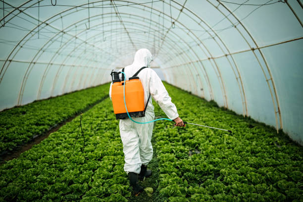 Best Local Pest Control Services  in Fairland, MD