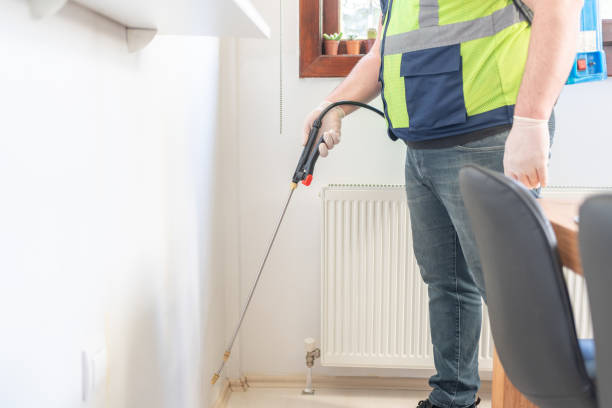 Best Rat Extermination Near Me  in Fairland, MD