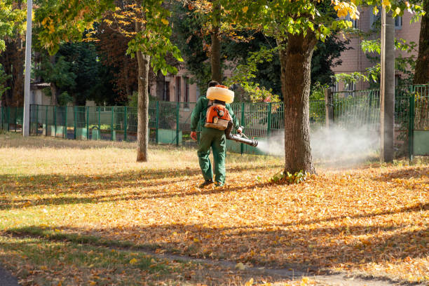 Best Commercial Pest Control Services  in Fairland, MD