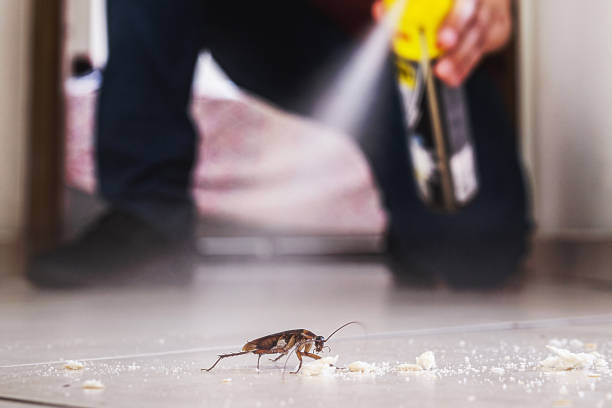 Best Commercial Pest Control Services  in Fairland, MD