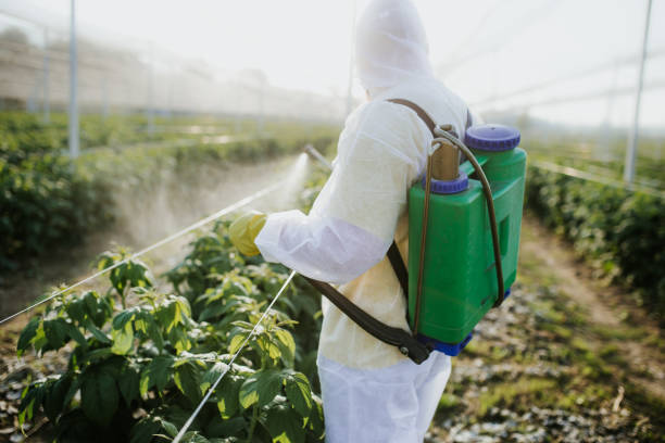 Flea Control Services in Fairland, MD